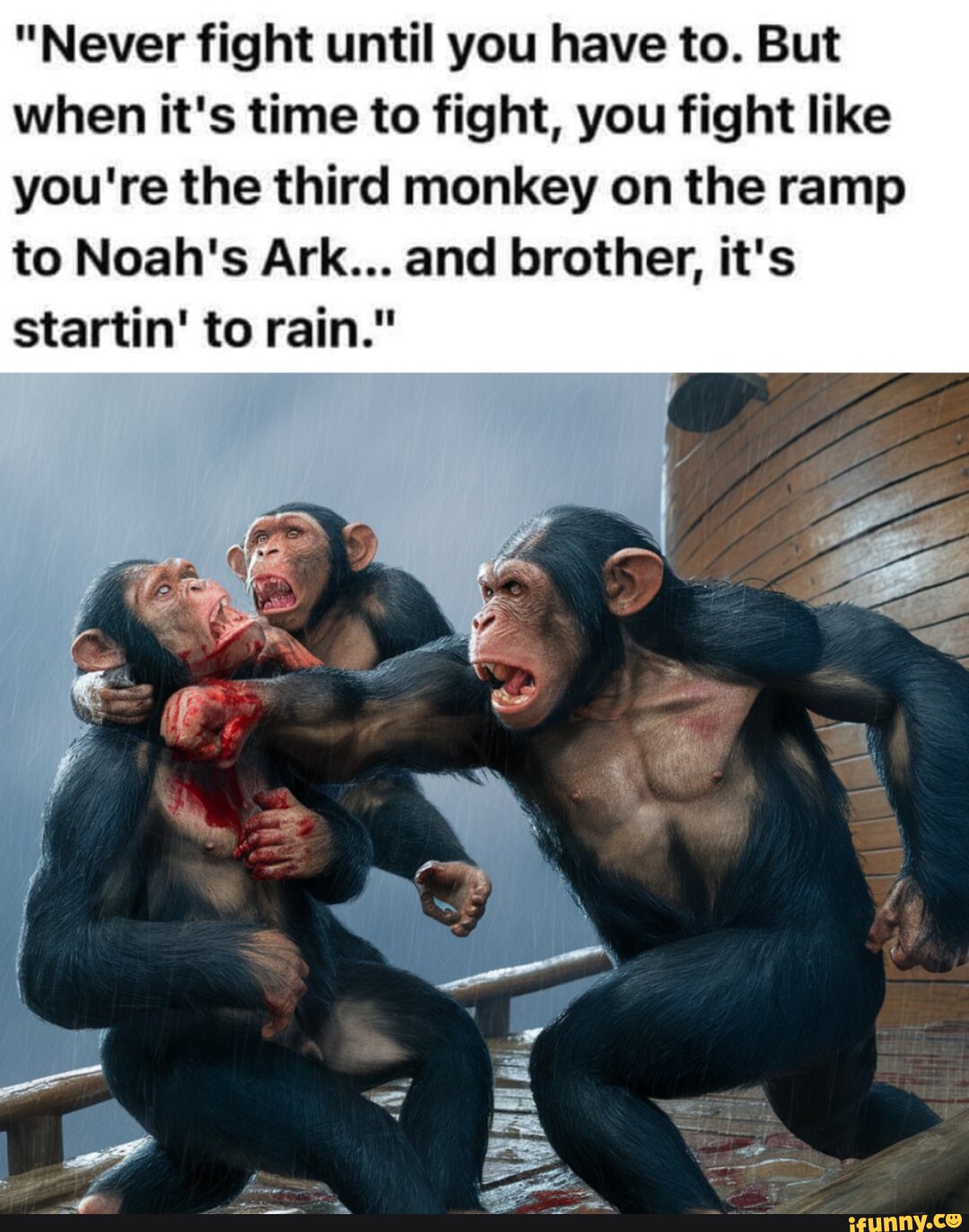 Noahs memes. Best Collection of funny Noahs pictures on iFunny