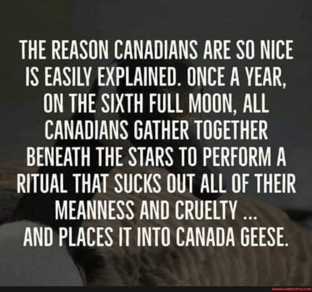 THE REASON CANADIANS ARE SO NICE IS EASILY EXPLAINED. ONCE A YEAR,
ON THE SIXTH FULL MOON, ALL CANADIANS GATHER TOGETHER BENEATH THE STARS TO PERFORM A RITUAL THAT SUCKS OUT ALL OF THEIR MEANNESS AND CRUELTY
AND PLACES IT INTO CANADA GEESE.