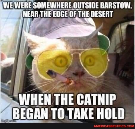 WE WE WERE SOMEWHERE, OUTSIDE WHERE, BARSTOW,
NEAR, THE EDGE OF THE, DESERT
BEGAN TAKE HOLD