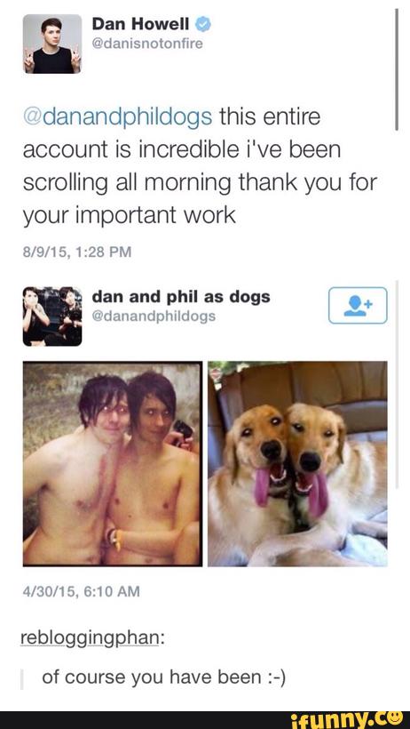 danandphildogs this entire
account is incredible i've been
scrolling all morning thank you for
your important work
of course you have been :-)