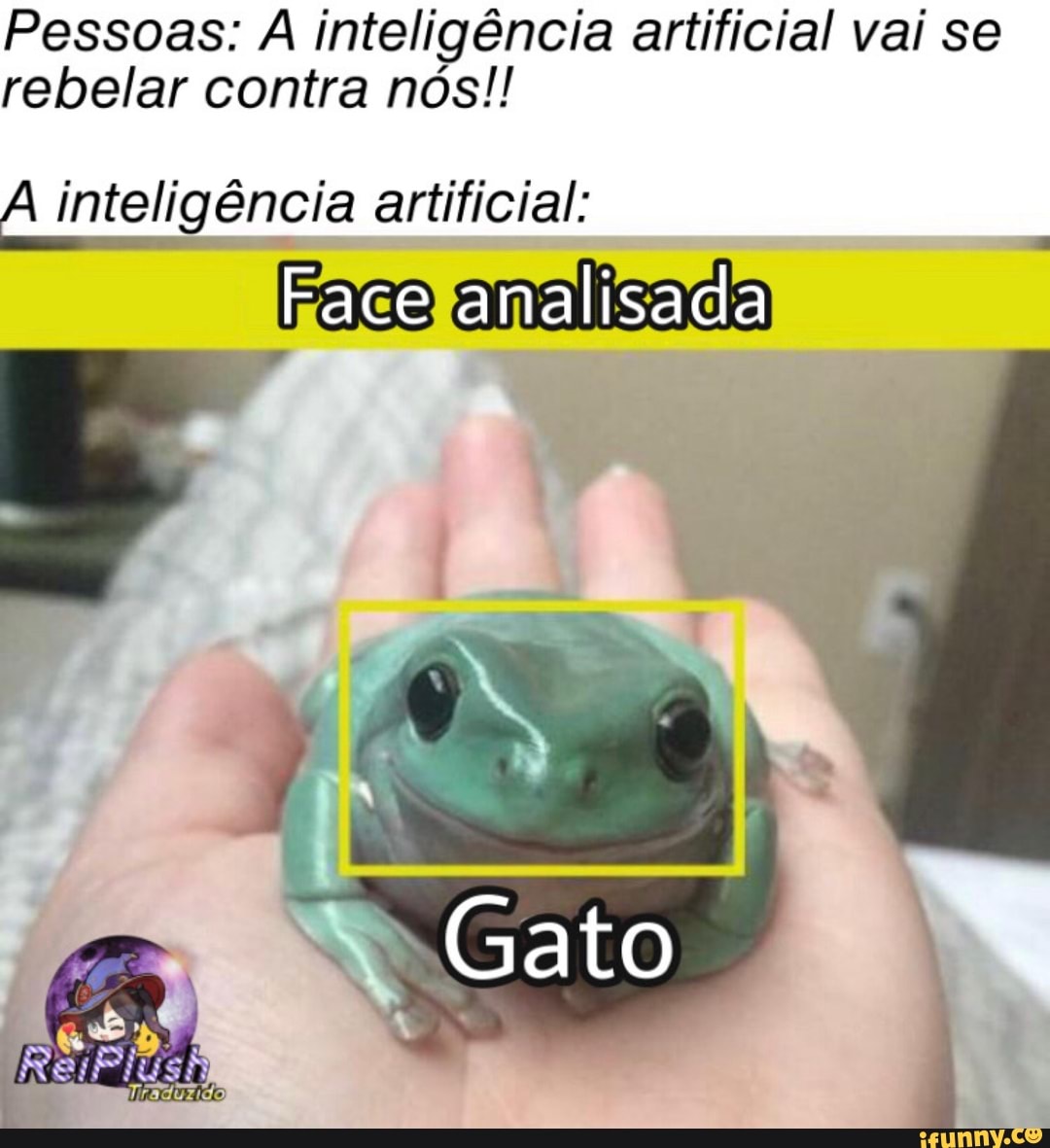Pessoas: A inteligência artificial vai se rebelar contra nós!!
A inteligência artificial:
Face analisada
Gato