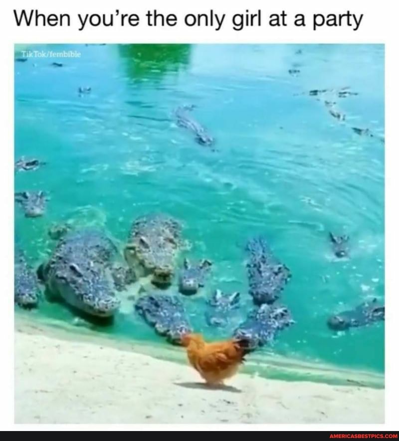 When you're the only girl at a party