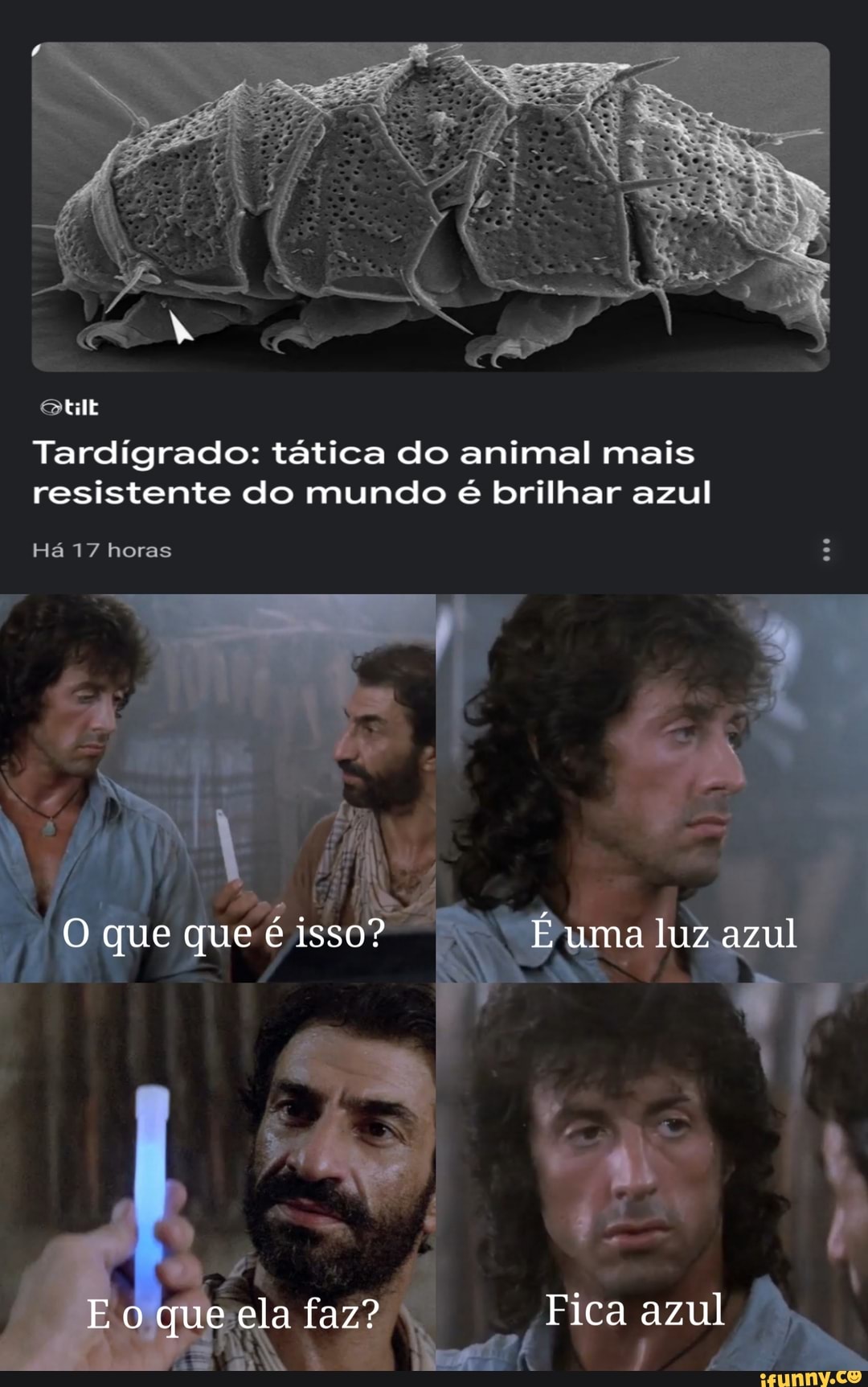 Tardígrado: tática do animal mais resistente do mundo é brilhar azul
Há 17 horas
EN O que que é isso? I uma luz azul
o que ela faz? Fica azul