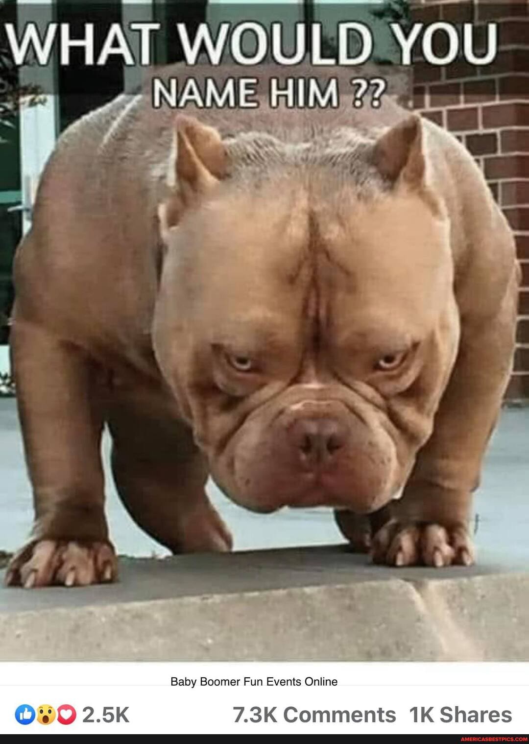 WHAT WOULD YOU NAME HIM
Baby Boomer Fun Events Online
D BK 7.3K Comments Shares