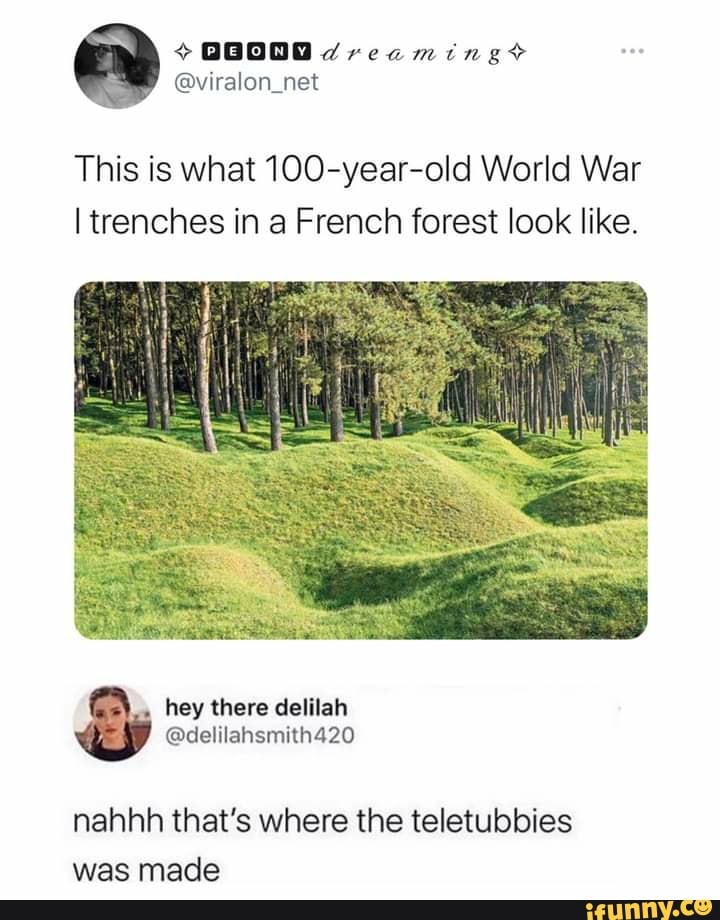 @viral
This is what 100-year-old World War trenches in French forest look like.
hey there delilah
nahhh that's where the teletubbies was mace