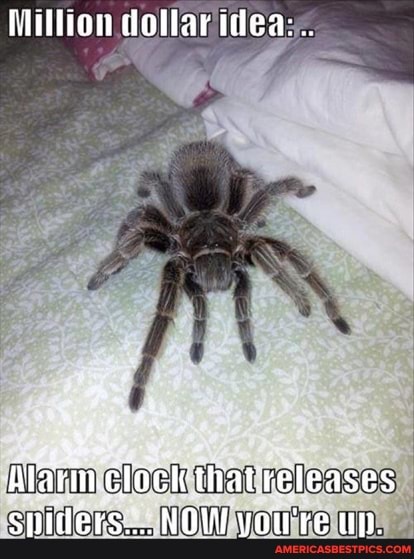 Miltion dotlar idea:
ilatin that releases spiders::.. NOW you're Up.