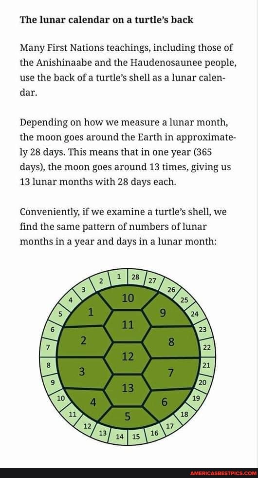The lunar calendar on a turtle's back Many First Nations teachings