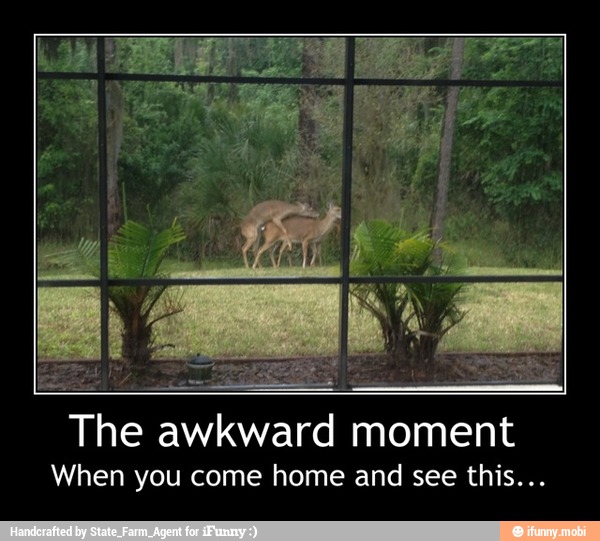 Wei are
The awkward moment
When you come home and see this... - The awkward moment
When you come home and see this...