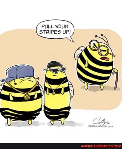 PULL YOUR
STRIPES UP!
