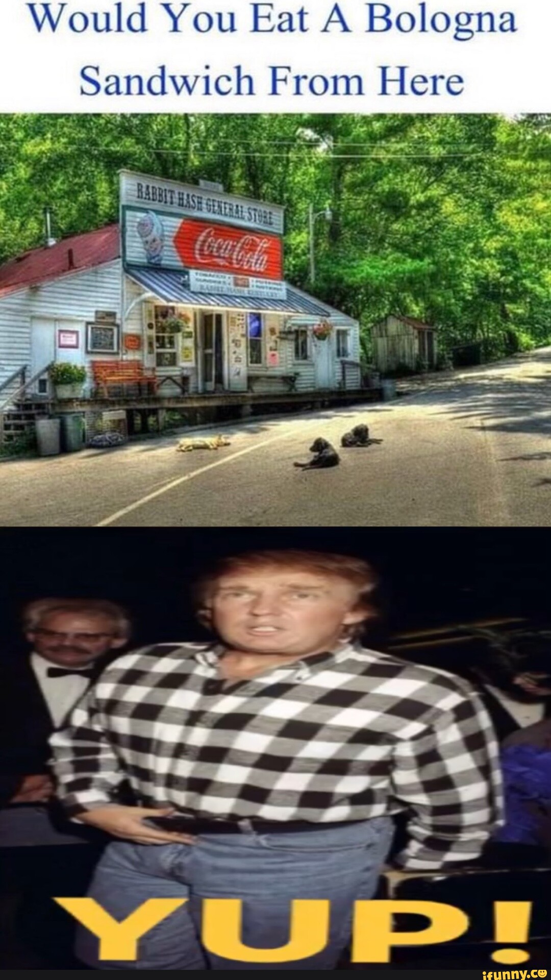 Would You Eat A Bologna Sandwich From Elere iFunny