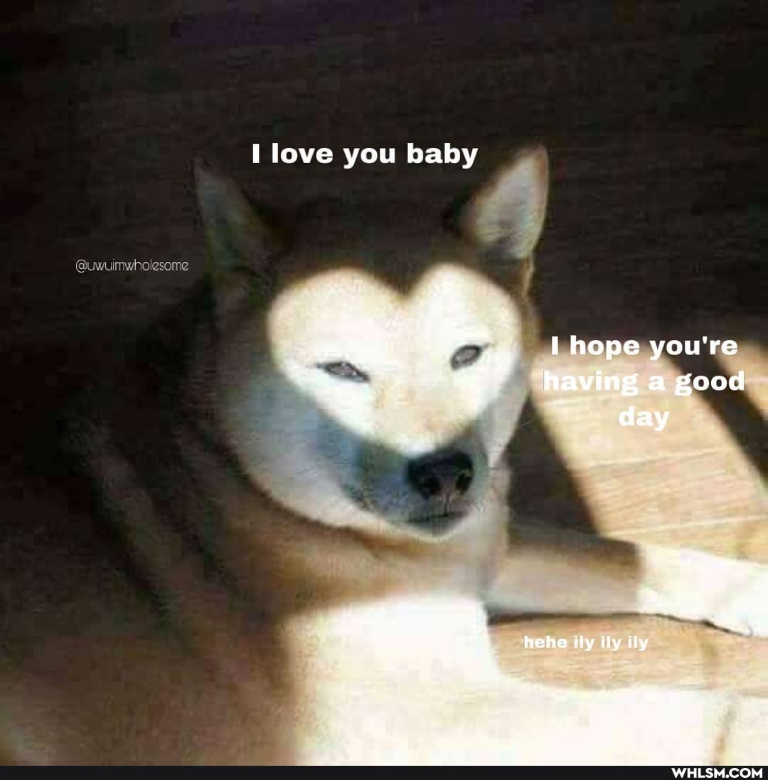 love you baby
@uwuimwholesome
pey
having a good day
eho