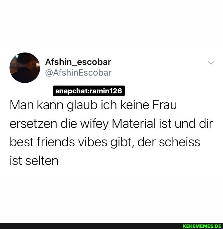 Afshin_escobar
Man kann glaub ich keine Frau ersetzen die wifey Material ist und dir
best friends vibes gibt, der scheiss ist selten