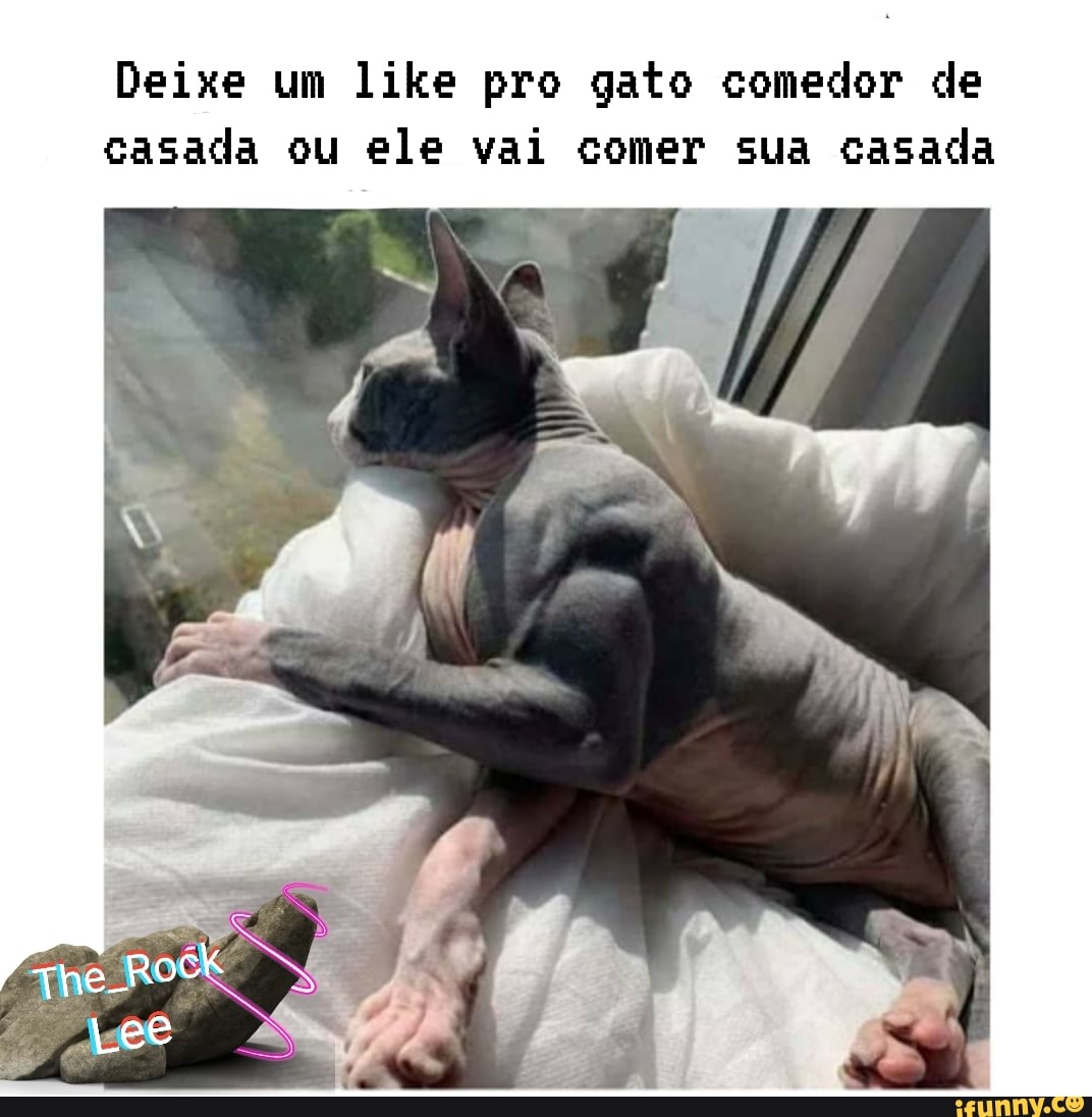Deixe um like pro gato comedor de
casada ou ele vai comer sua casada