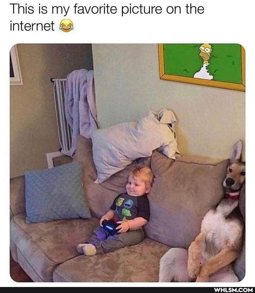 This is my favorite picture on the internet