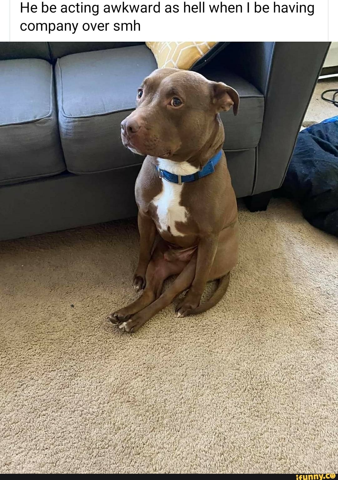 He be acting awkward as hell when I be having
company over smh