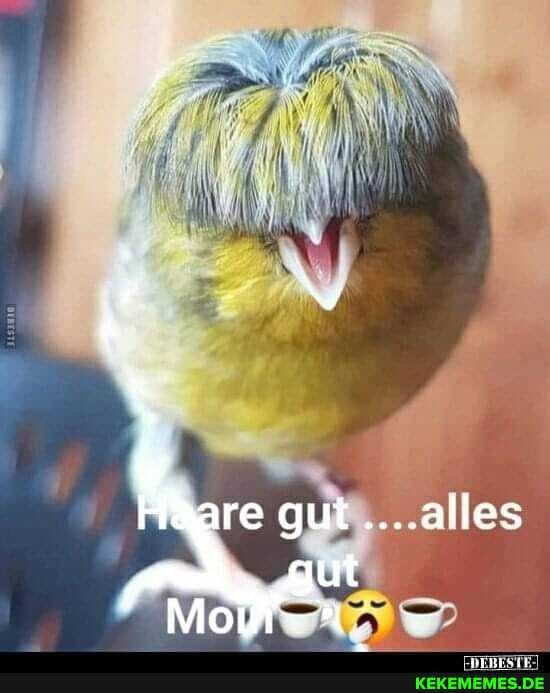 re gut ....alles
ut
PP