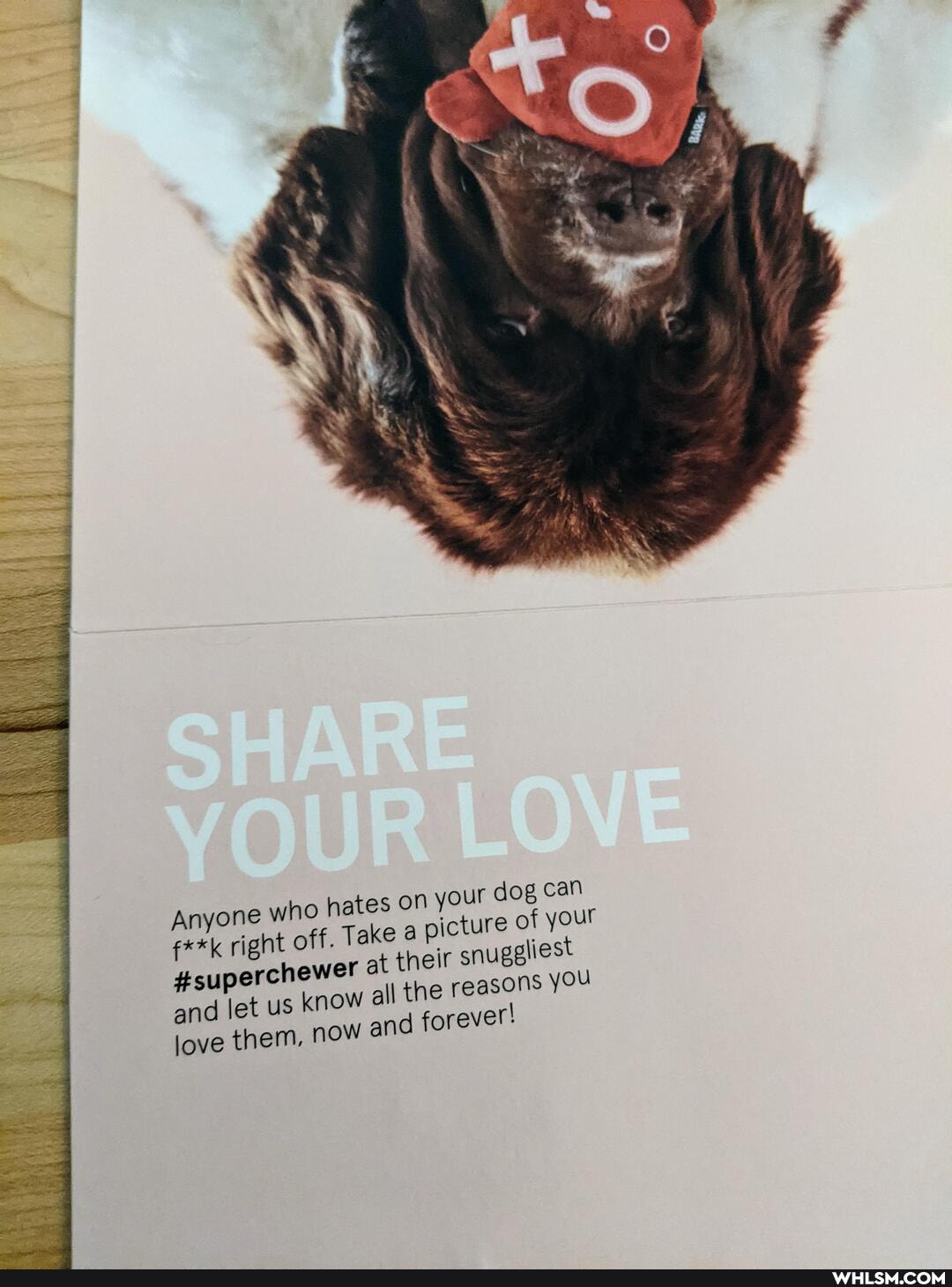 your dog can ight off. Take a picture of your at their snugeliest all the reasons you
love and them, let us now know and all forever!
Anyone who hates on f**k right
#superchewe and let us know