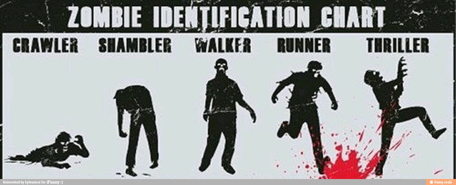 ZOMBIE IDENTIFICATION CHART CRAWLER SHAMBLER WALKER RUNNER TERILLER