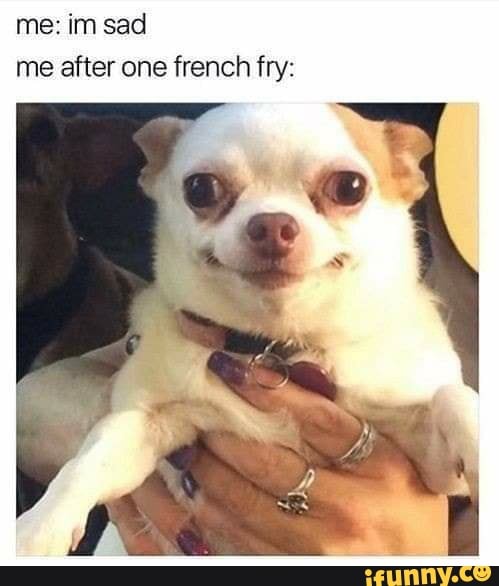 me: im sad me after one french fry: