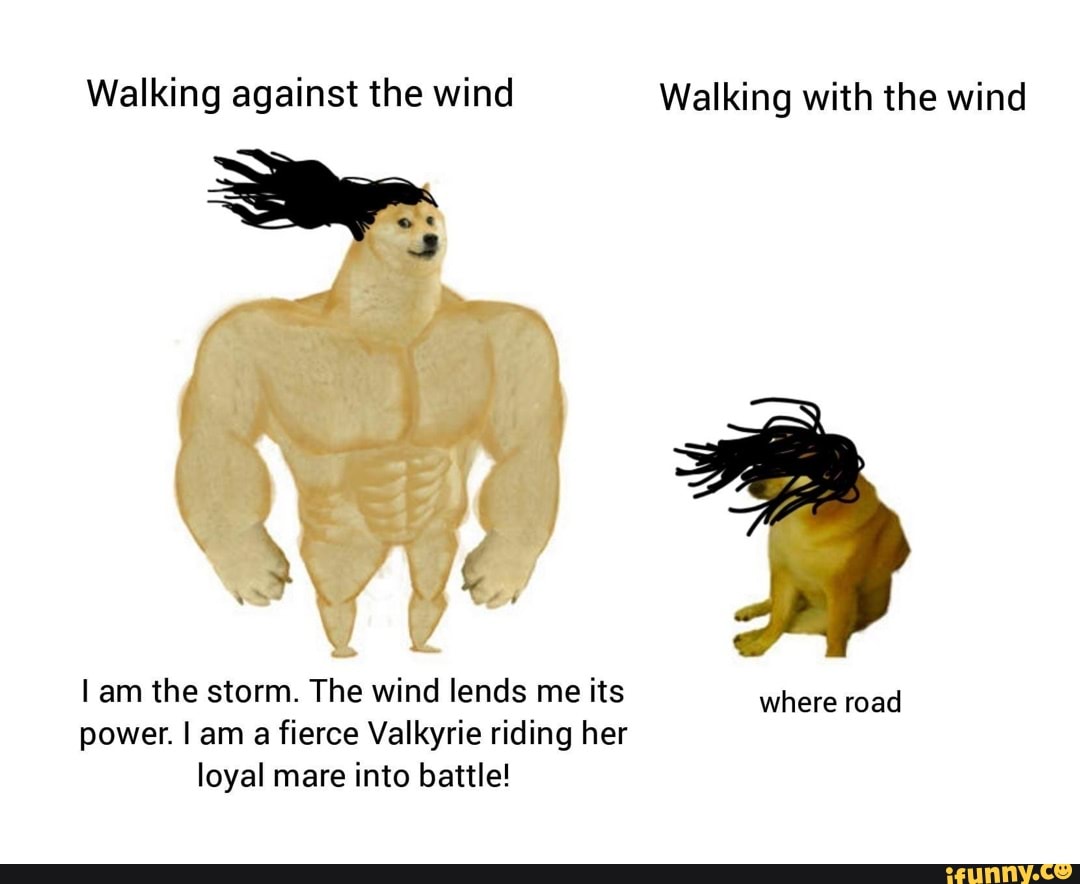 Walking against the wind Walking with the wind
am the storm. The wind lends me its where road power. I am a fierce Valkyrie riding her loyal mare into battle!