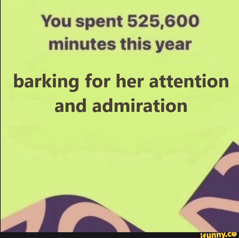You spent 525,600 minutes this year barking for her attention and ...