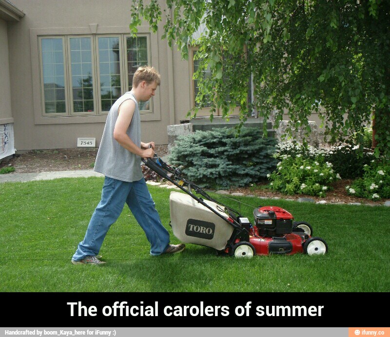 Робот стрижет газон. Mow the lawn перевод. Страница газеты lawns and lawn see. Mow the lawn перевод. Mowing.
