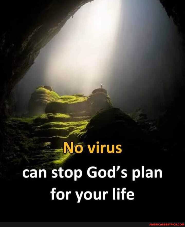 _No virus
can stop God's plan for your life