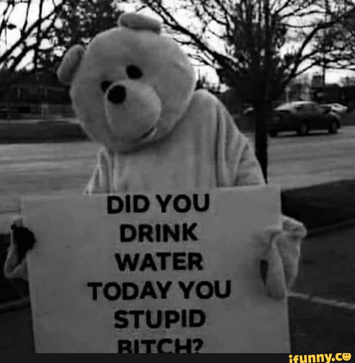 did-you-drink-water-today-you-stupid-ifunny