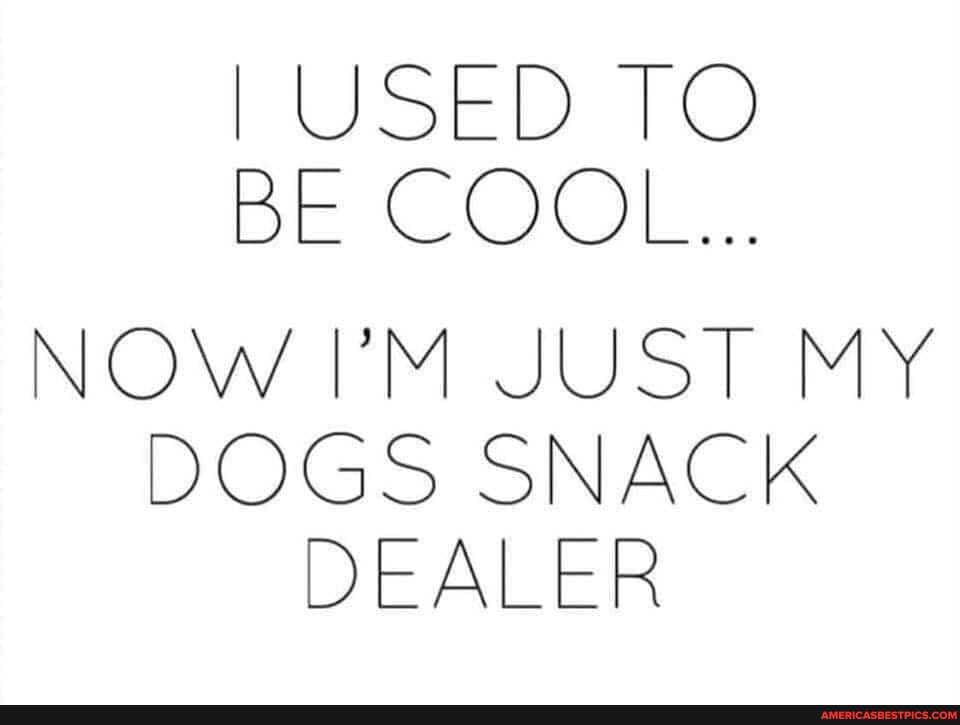 USED TO BE COOL...
NOW TM JUST MY DOGS SNACK DEALER