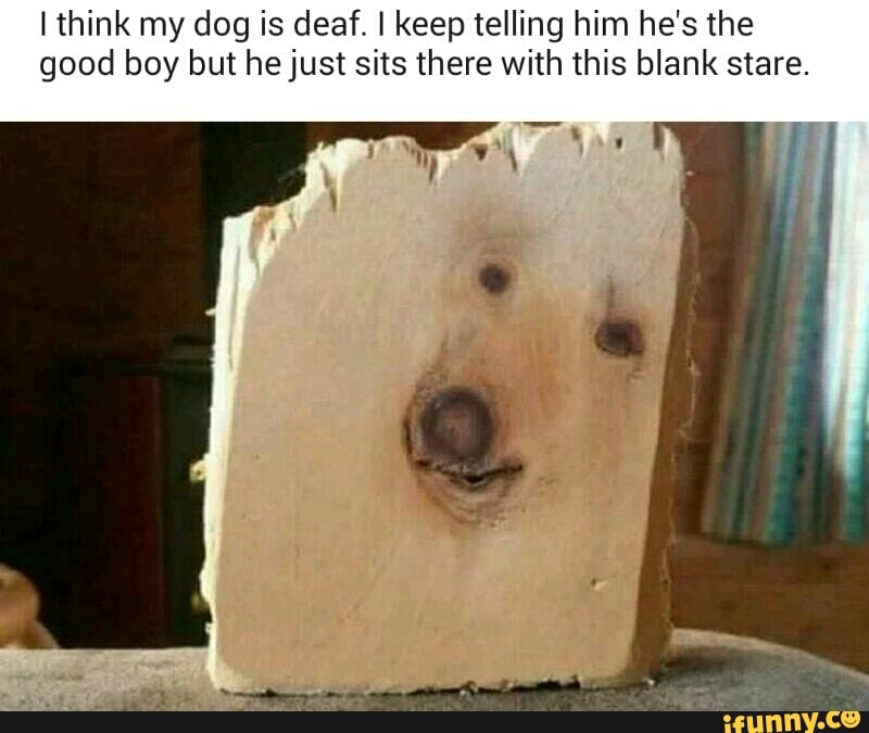 I think my dog is deaf. I keep telling him he's the
good boy but he just sits there with this blank stare.