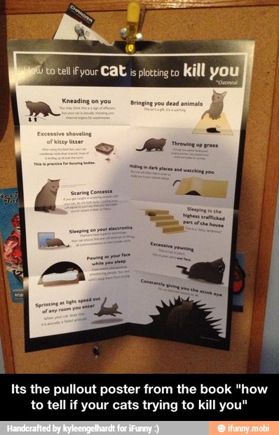 Its the pullout poster from the book "how
to tell if your cats trying to kill you" - Its the pullout poster from the book "how to tell if your cats trying to kill you"