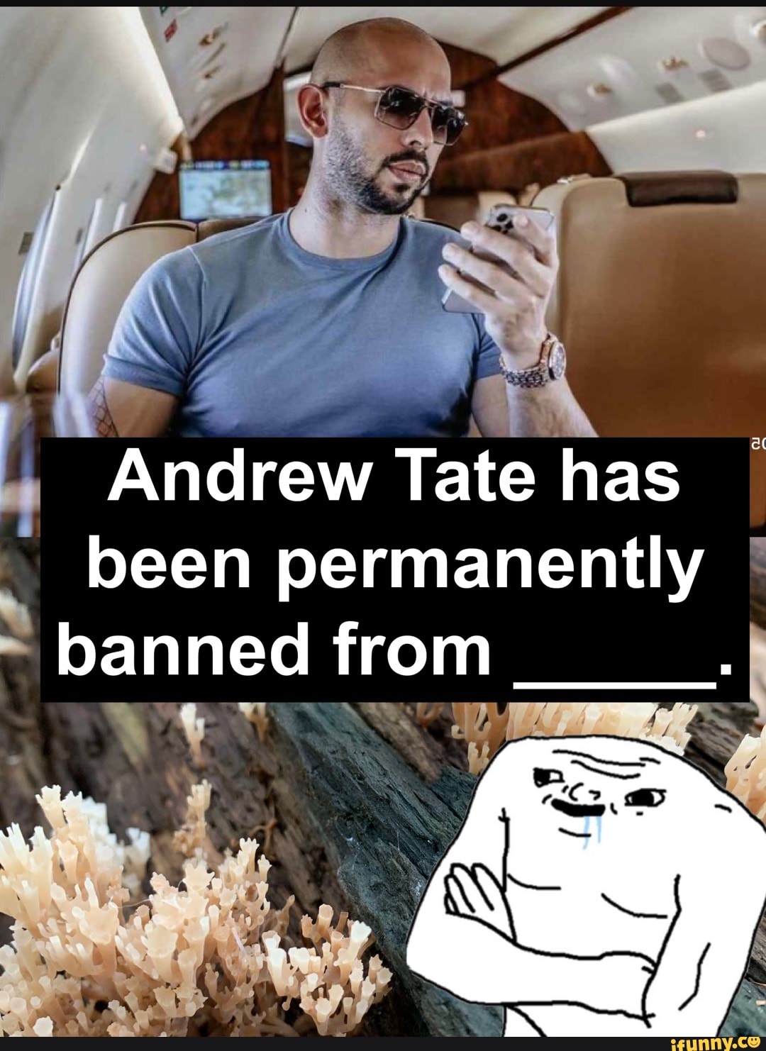 Andrew Tate has been permanently banned from - iFunny