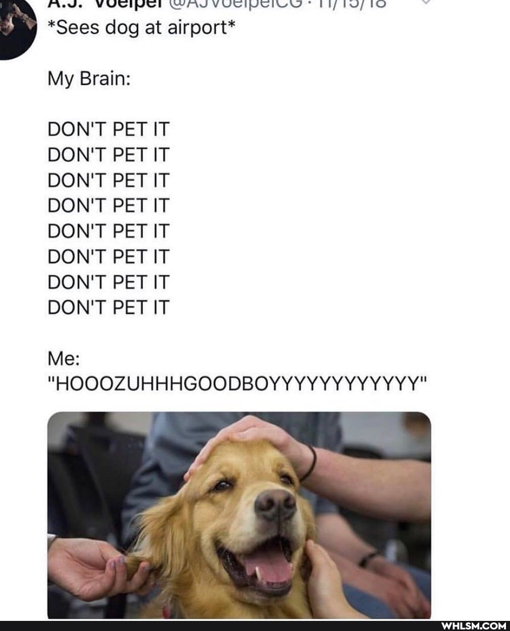 *Sees dog at airport*
My Brain:
DON'T PET IT DON'T PET IT DON'T PET IT DON'T PET IT DON'T PET IT DON'T PET IT DON'T PET IT DON'T PET IT
Me:
"HOOOZUHHHGOODBOYYYYYYYYYYYY"
