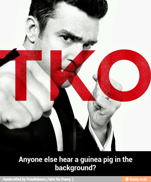 Anyone else hear a guinea pig in the
background? - Anyone else hear a guinea pig in the background?