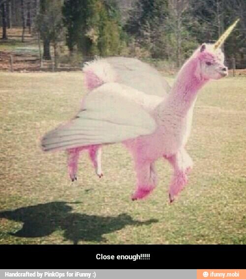 Close enough!!!!!