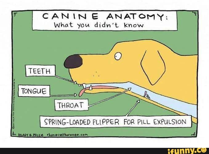 No pills. Only treats. CANIN ANATOMY What you didn't know SPRING