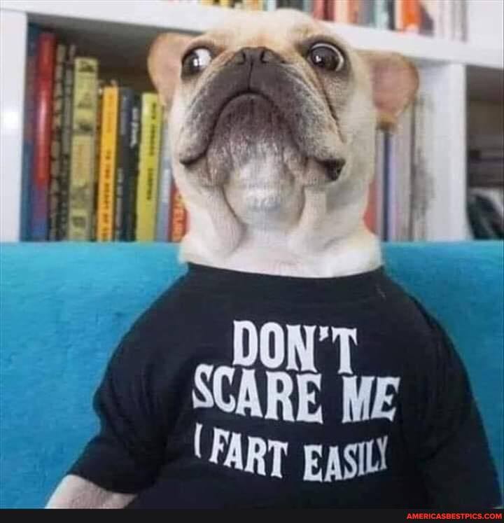 DON'T SCARE ME
(FART EAsil