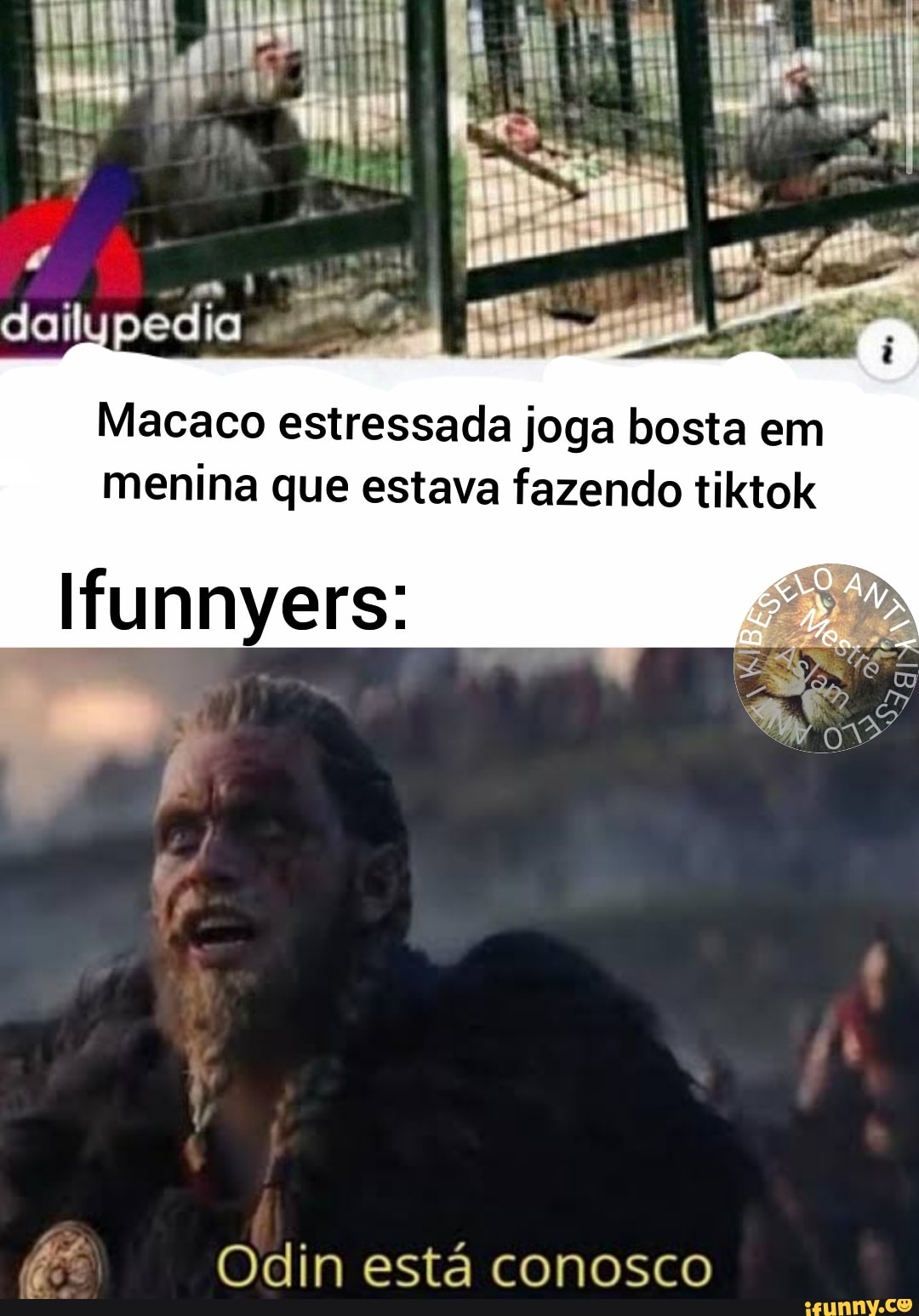 Macaco estressada joga bosta em menina que estava fazendo tiktok
Ifunnyers:
Odin está conosco