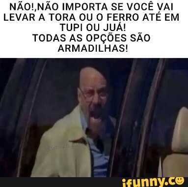 NÃO! NÃO IMPORTA SE VOCÊ VAI LEVAR A TORA OU O FERRO ATÉ EM TUPI OU JUÁ ...