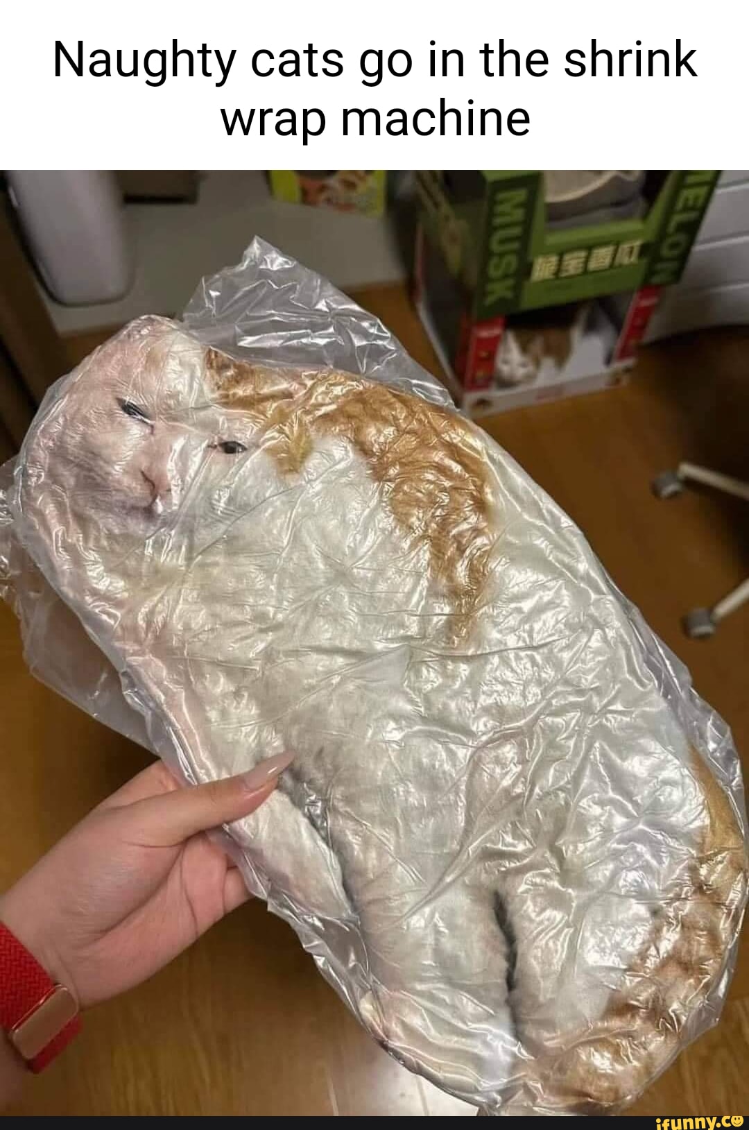 Congress today spending our money WE DID IT! WE SAVED UKRAINE! iFunny