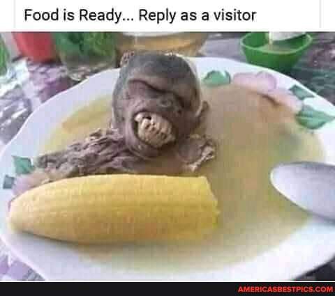 Food is Ready... Reply as a visitor