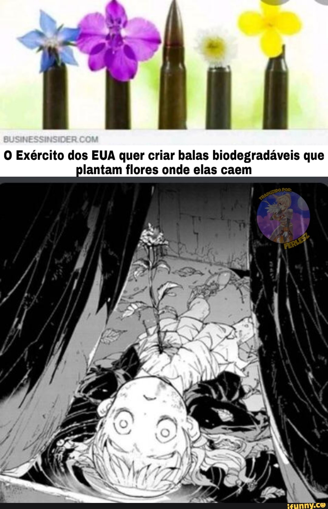 Mii
O Exército dos EUA quer criar balas biodegradáveis que plantam flores onde elas caem