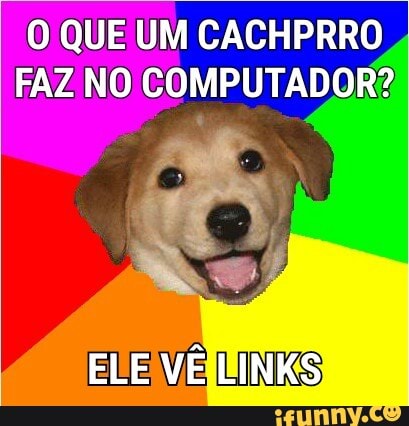 O QUE UM CACHPRRO
FAZ NO COMPUTADOR?