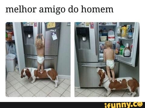 melhor amigo do homem