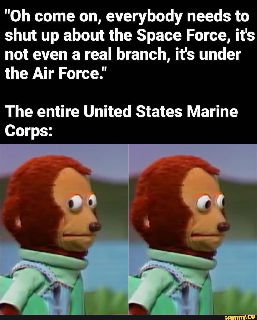 "Oh come on, everybody needs to
shut up about the Space Force, it's
not even a real branch, its under
the Air Force."
The entire United States Marine
Corps: