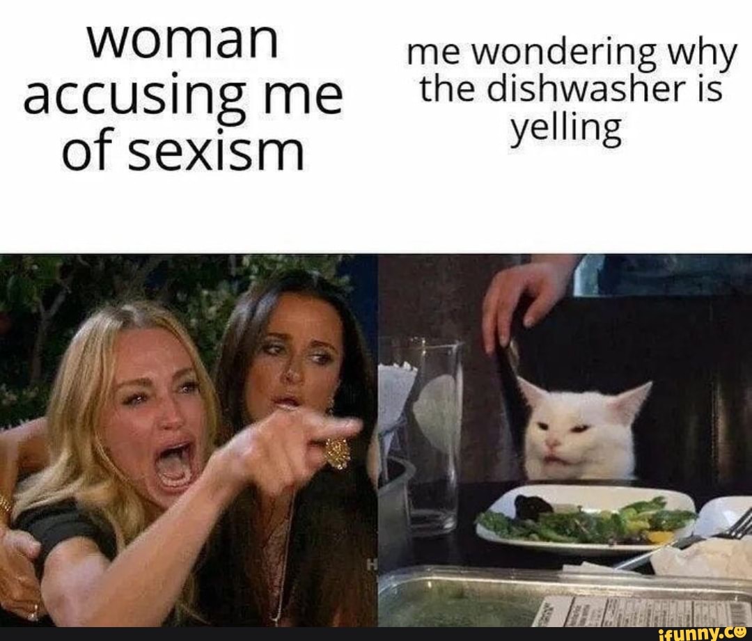 Thanks For The Free Meme Template U 69 Woman Yelling At A Cat