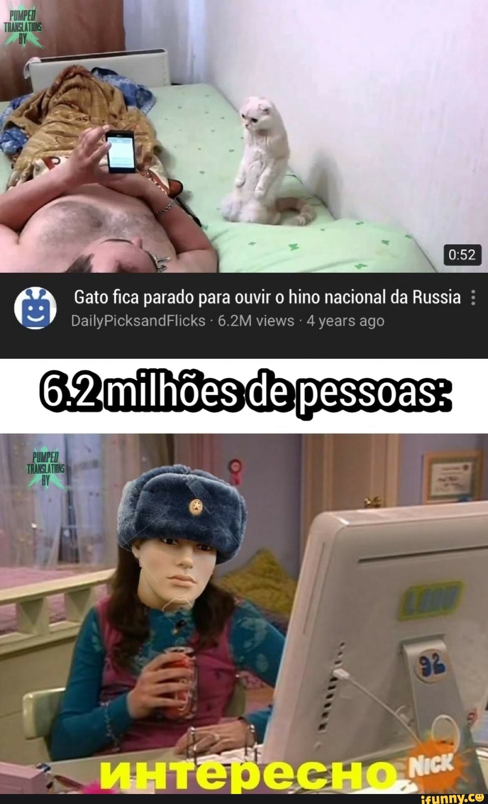 Gato fica parado para ouvir o hino nacional da Russia 4 years ago