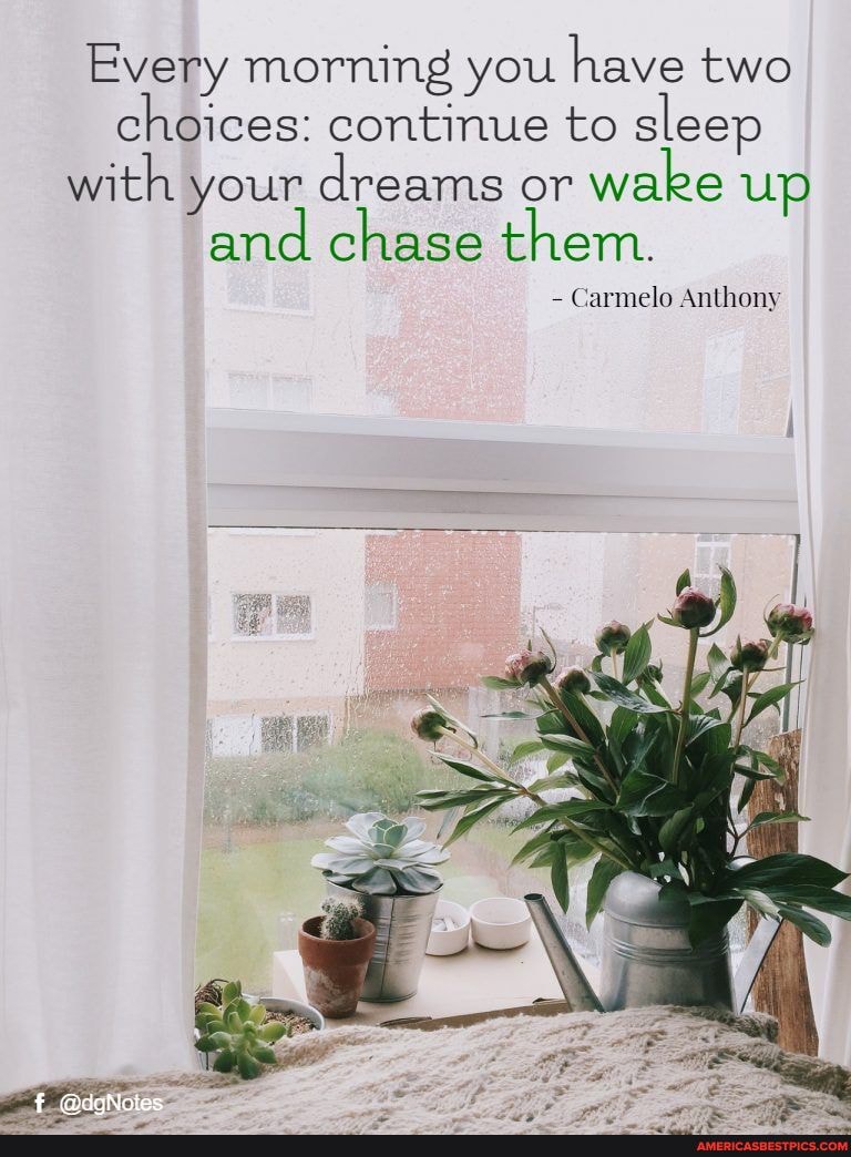 Every morning you have two choices: continue to sleep with your dreams or wake up and chase them.
- Carmelo Anthony
