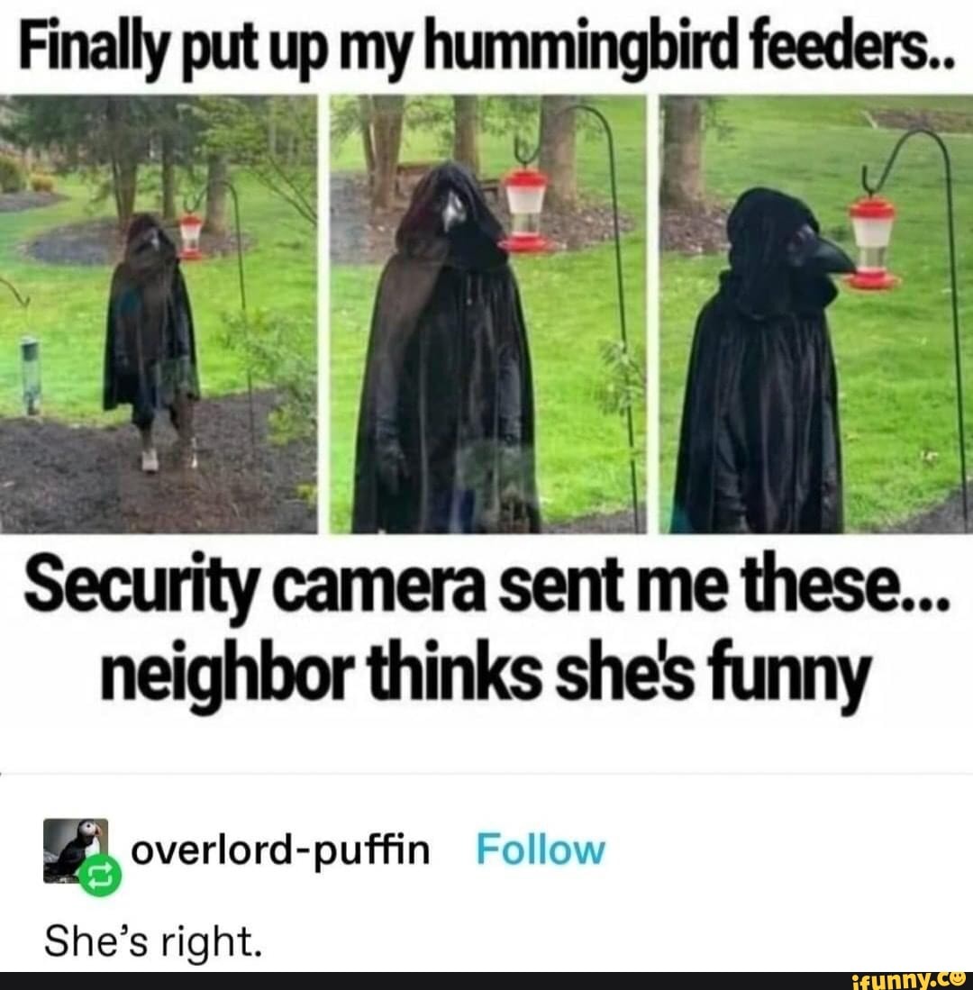 Finally put up my hummingbird feeders.
Security camera sent me these...
neighbor thinks she's funny
overlord-puffin Follow
She's right.