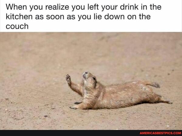 When you realize you left your drink in the kitchen as soon as you lie down on the couch